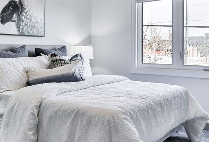 Comment se développent les punaises de lit ?