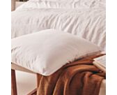 Oreiller Pilodor - 60x60 cm