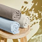 Drap-housse Coton Vison Bonnet 25 - 90x200 cm