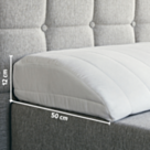 Coussin cale Dos Pupitre Latex - 70 cm