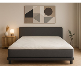 Matelas Mousse 
Matelas 200x200 cm 
Matelas à mémoire de forme 
Matelas Zenpur 